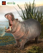 Nilpferd Nilpferd Tier