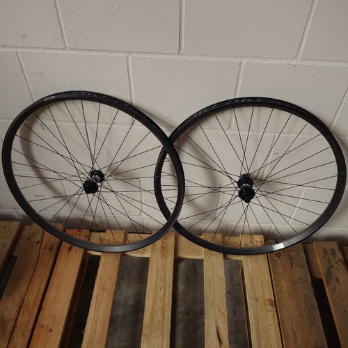 Lilienthal carbon - lilienthal, xe