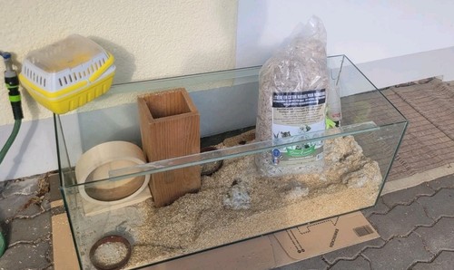 Glas nagarium kleintier gehege - glas-nagarium, kleintier-gehege
