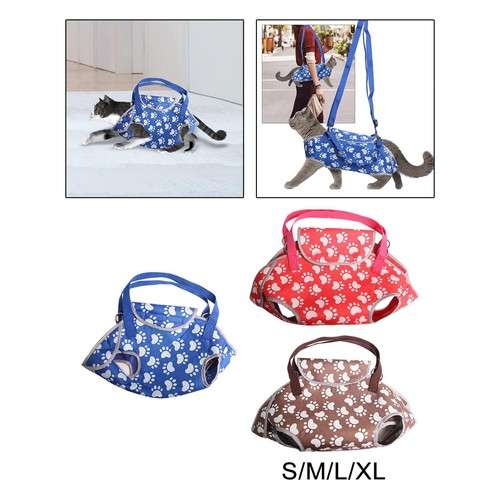 Pet carrier cat - cat,