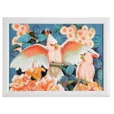 Knietablett Mars & More