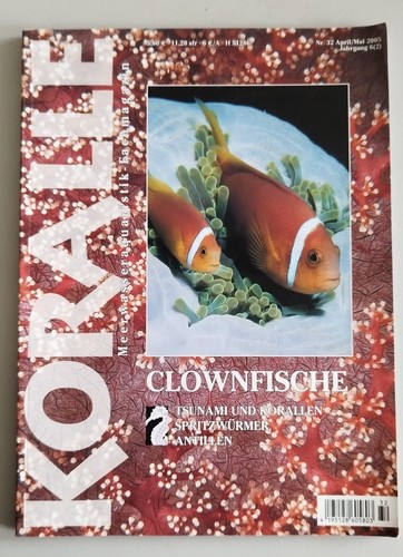Koralle 32 clownfische - koralle,