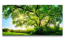 120x60cm Leinwandbild Großer