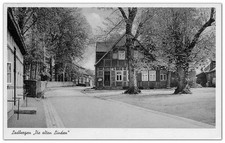 AK Ladbergen Die alten Linden Kr. Steinfurt Tecklenburger Land 1950 n. Norderney