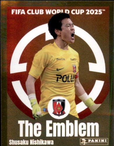 Panini fifa club - fifa,