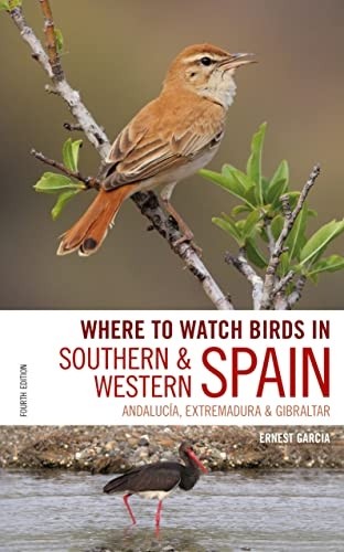 Where watch birds in - where,