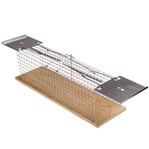 Lebendfalle 38cm drahtfalle - lebendfalle,
