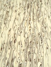 Maserbirke Furnier Birke Maser SaRaiFo burl wild 250x31-32cm 