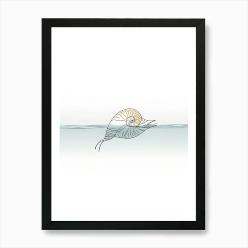 Nautilus kunstdruck gerahmt - nautilus,