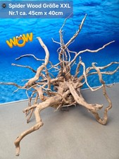 👋XXL Moorkien - Spiderwood