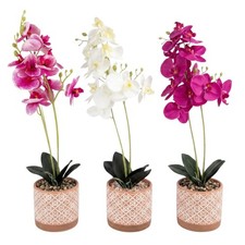 Künstliche orchidee - künstliche,