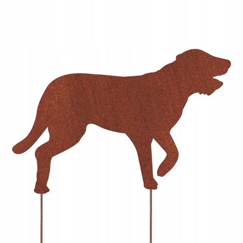 Irischer wolfshund hund - irischer,