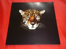 JAGUAR XJ6 Daimler Double Six XJS V12 XJR-S 6.0 Sovereign Prospekt Brochure 1992