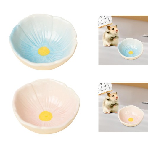 Keramikschale für hamster - keramikschale,