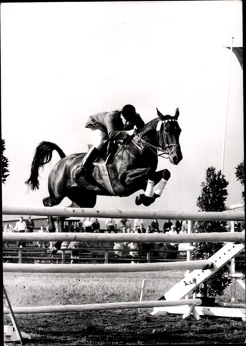 Foto springreiten sprung - springreiten,,
