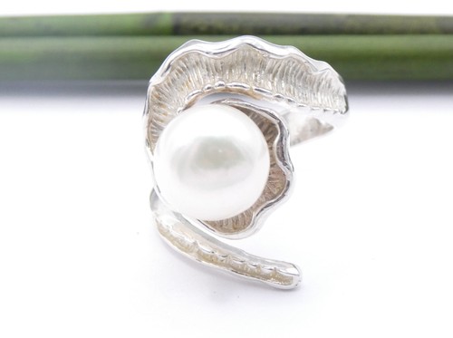 Silberring