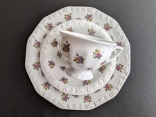 Rosenthal Maria Sammeltasse