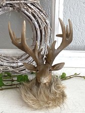 Großer Hirsch Hirschkopf m