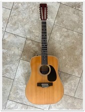 Westerngitarre 12-saitig