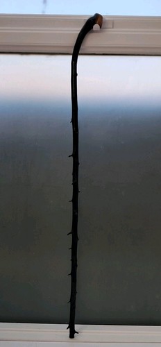 Vintage irish blackthorn - vintage,