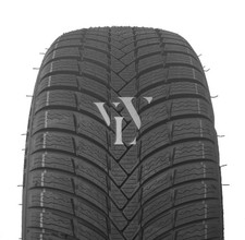 Winterreifen TRIANGLE TW421 EFFEX 255/50 R19 107 V