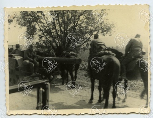 Foto polen feldzug - foto,