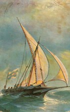 AK* Calabrische Schebecke 