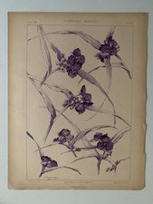 J.HABERT-DYS CHROMOLITHOGRAPHY