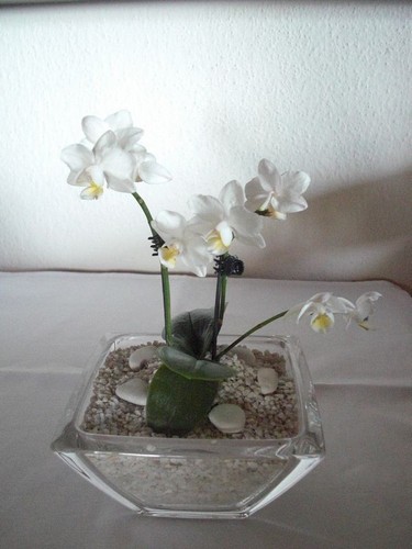 Vase leonardo quadratisch - vase,