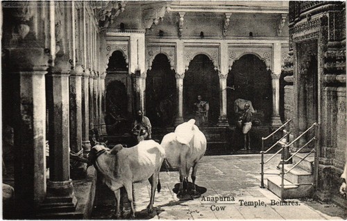 Cpa benares anapurna - cpa, temple