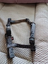 hundegeschirr Für Kleine Hunde !