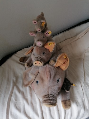 Steiff tiere sammlung schweine - tiere,
