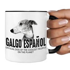 Galgo espanol hund official - galgo,