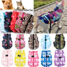 ⭐Chihuahua Pullover Für