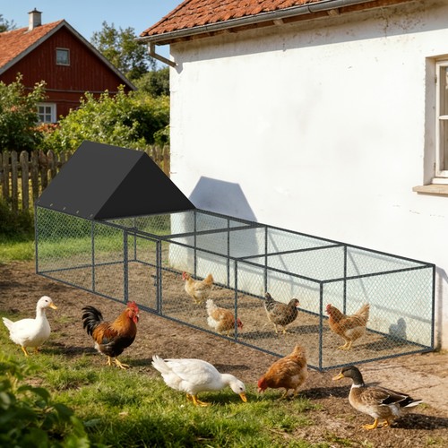 Garten hühnerstall - garten,