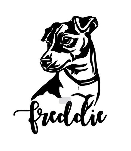 Jack russel hund individuell - jack,