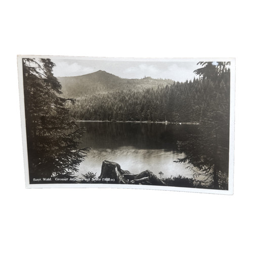 Ansichtskarte postkarte lam - ansichtskarte,