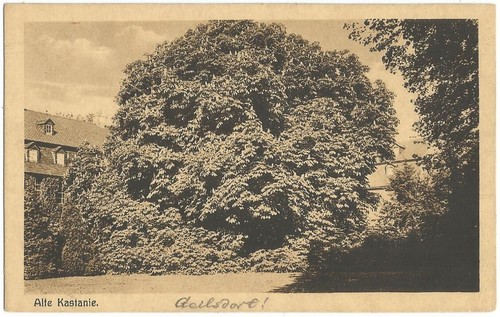 Geilsdorf vogtland bei - vogtland,