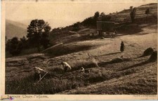 Sillacker Wasen - Metzeral