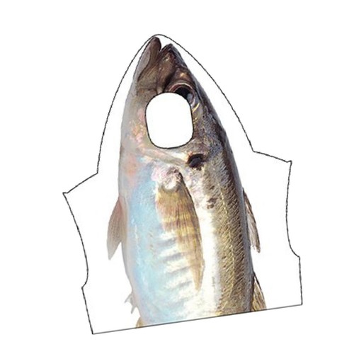 Cosplay fischkostüm - cosplay,