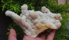 Koralle Chalcedony Mineralien