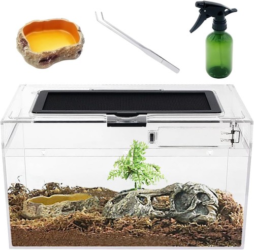 Reptil terrarium set x6 - reptil,