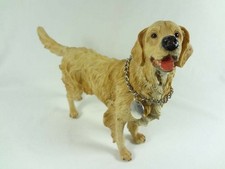 Hund Labrador Golden Retriever