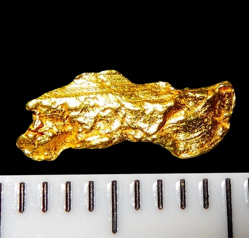 Xxl goldnugget mm - xxl,