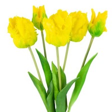 TULPENSTRAUSS KUNSTGUMMI