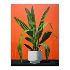 Striking Snake Plant Bright