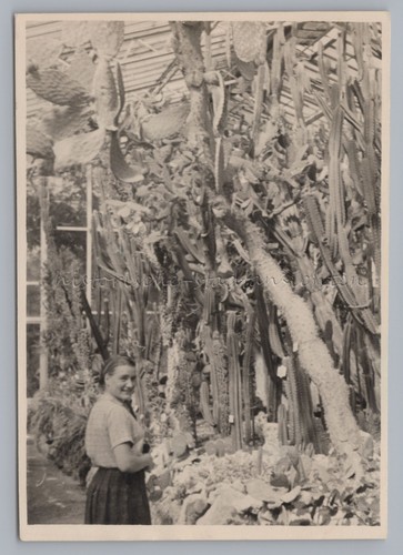 München 1949 botanischer - münchen,