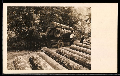 Foto holzfäller mit - foto-ak,