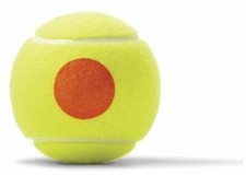 Wilson Starter Orange x 48