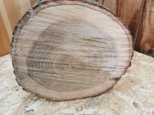 Eiche drechselholz 5 cm - eiche, –